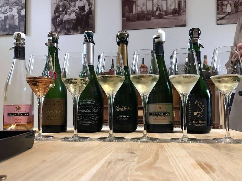 A row of champagne bottles, a poured glass before each, on a wooden tasting table