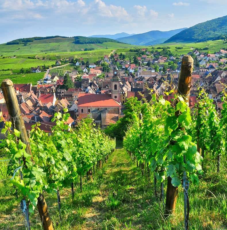 From Paris: Small-Group Champagne Day Trip with Six Tastings