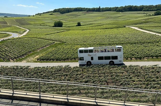 An open-top double-decker bus on a road through the vineyards, seen from a terrace