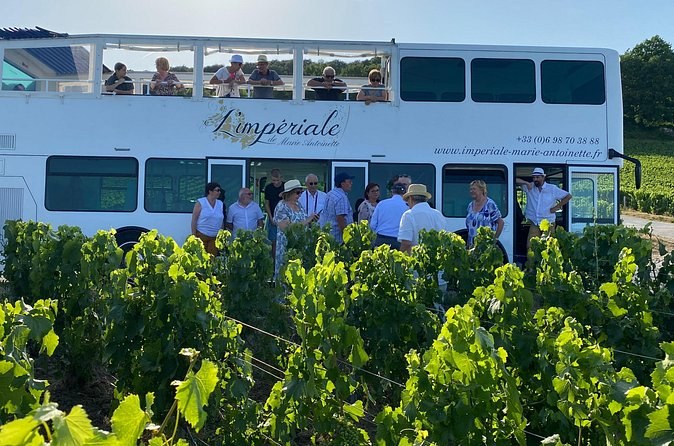 Private Tour of Epernay and Vineyards by Bus with Champagne