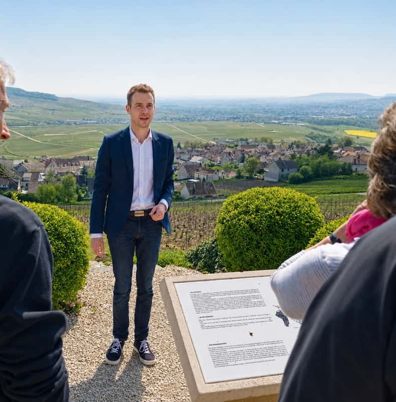 From Reims: Champagne Day Trip to 3 Family Domains & Lunch